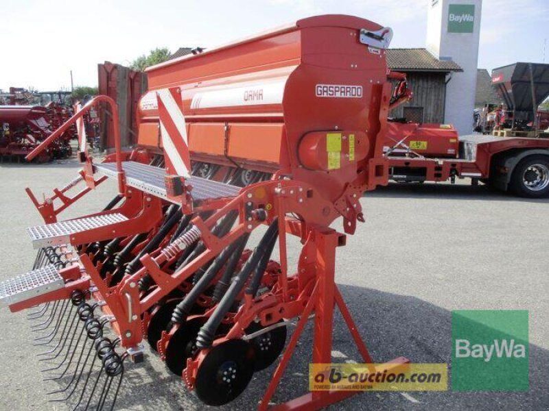 Maschio DAMA  500 