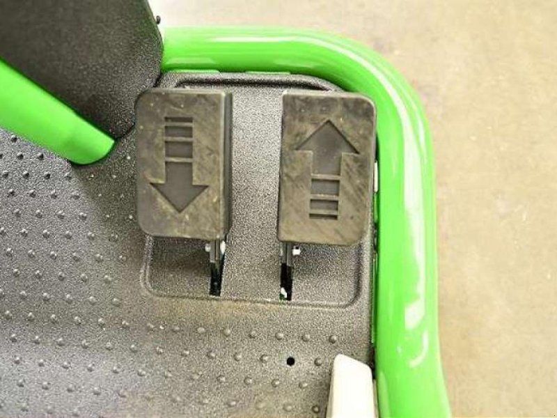 Etesia BAHIA