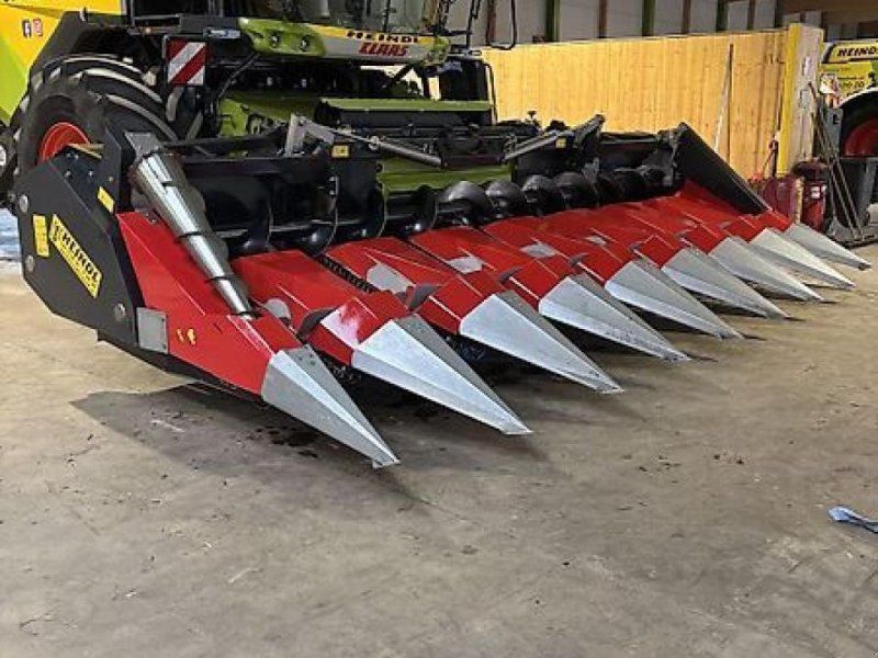 Dominoni sl978bg-75
