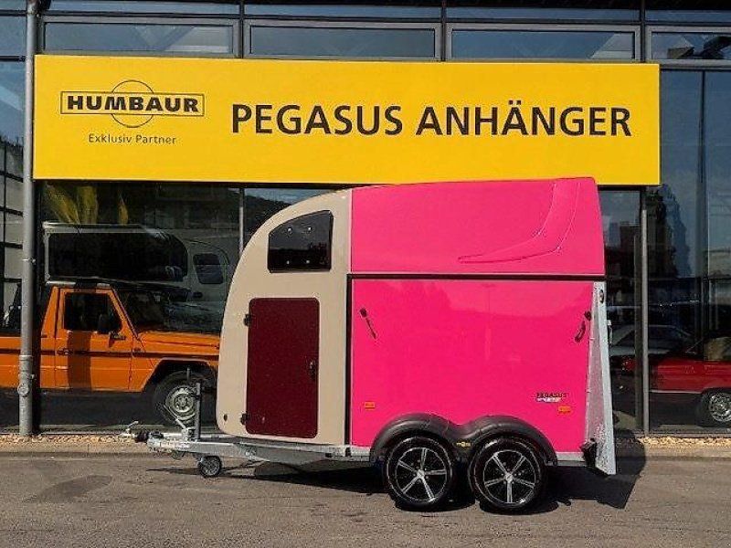 Humbaur Pegasus Style Vollpoly Special Edition 2 Pferde