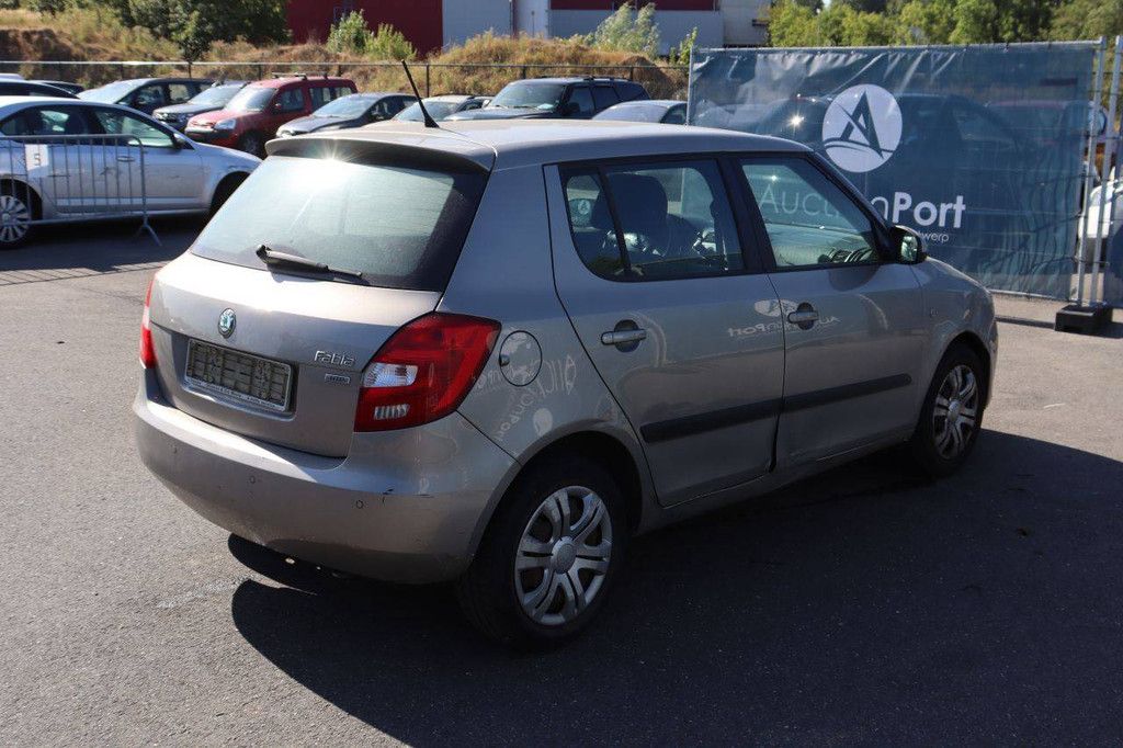 Passenger car Skoda Fabia Petrol 60hp 2011 (Margin)