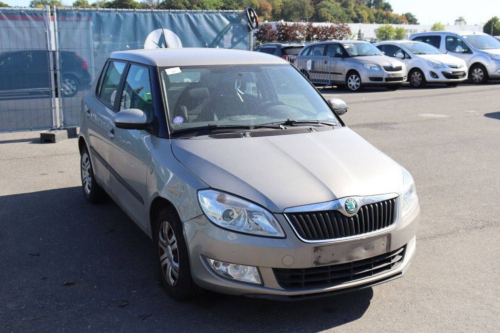 Passenger car Skoda Fabia Petrol 60hp 2011 (Margin)