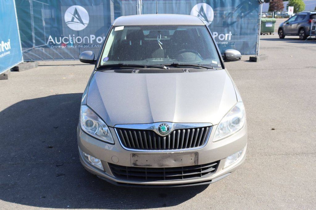 Passenger car Skoda Fabia Petrol 60hp 2011 (Margin)