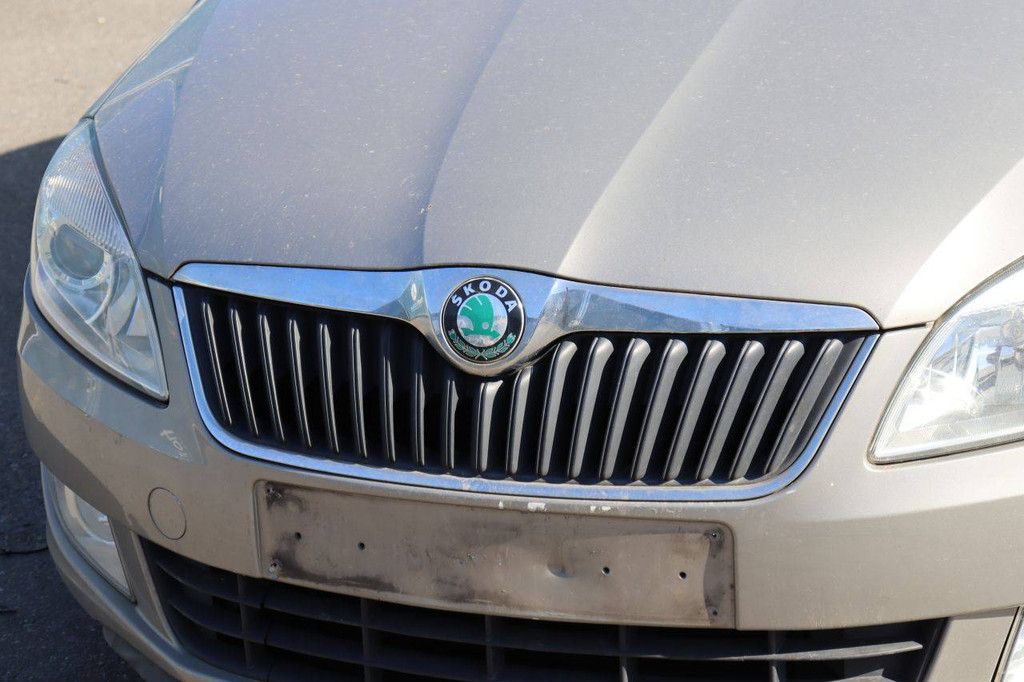 Passenger car Skoda Fabia Petrol 60hp 2011 (Margin)