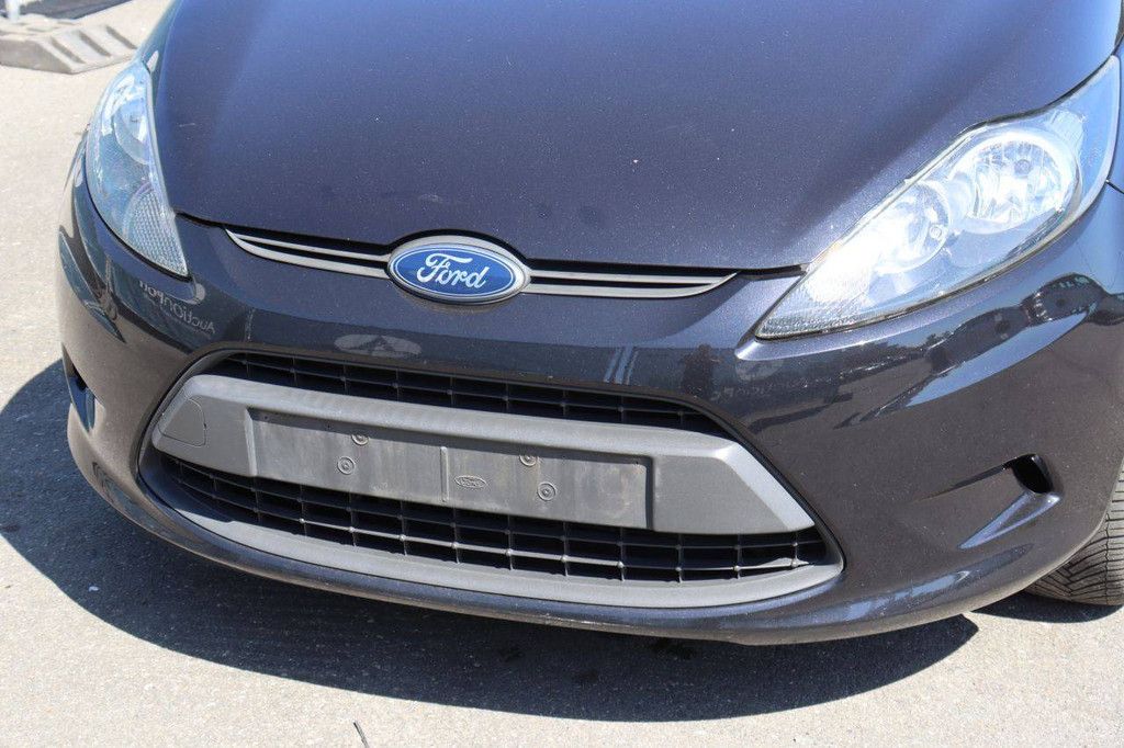Passenger car Ford Fiesta Diesel 95hp 2010 (Margin)