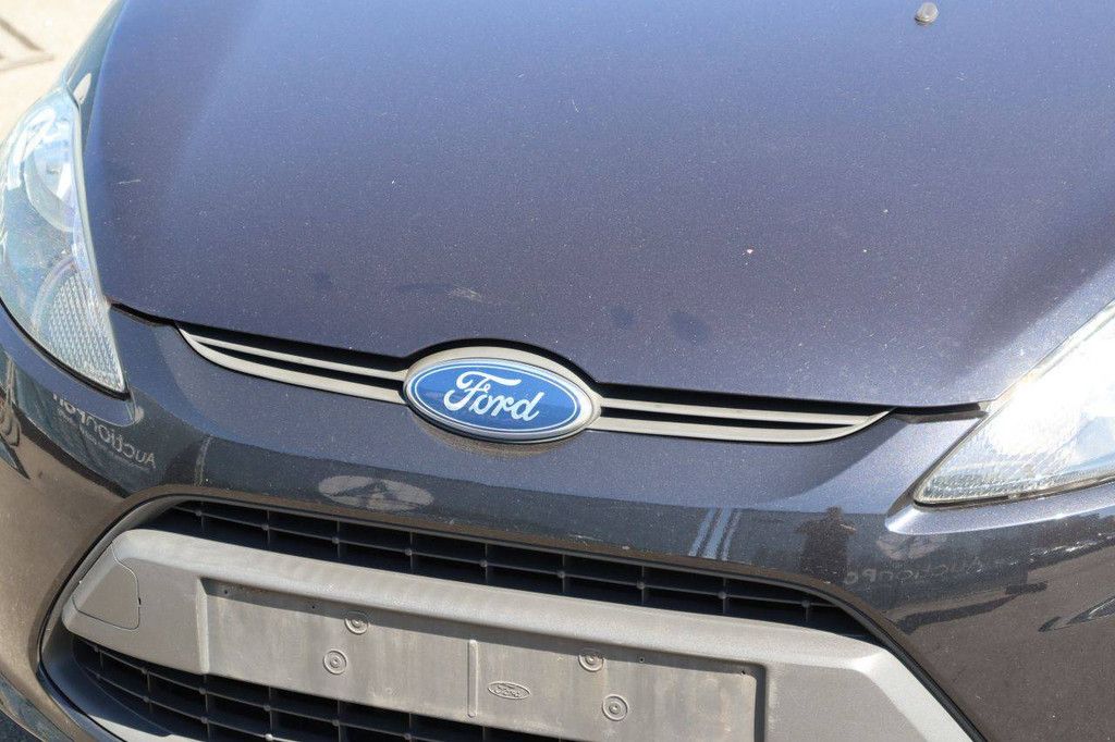 Passenger car Ford Fiesta Diesel 95hp 2010 (Margin)