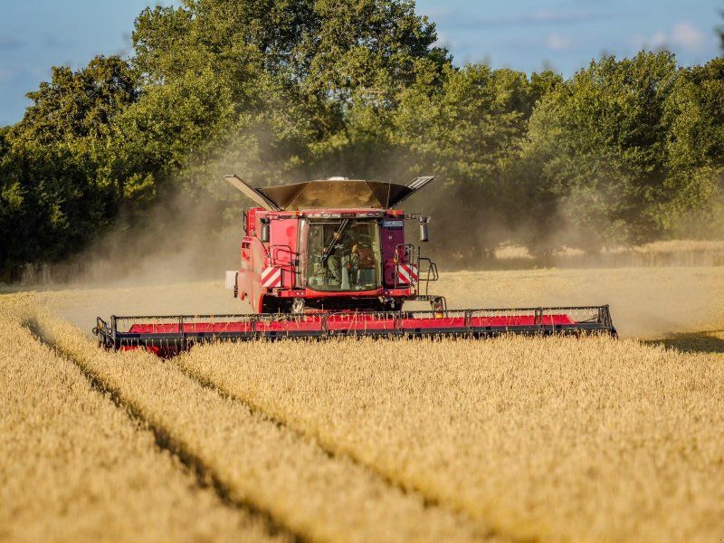 Case IH 8250 AXIAL-FLOW