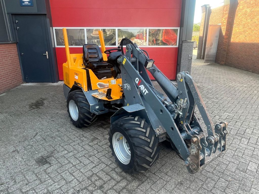 Giant V361