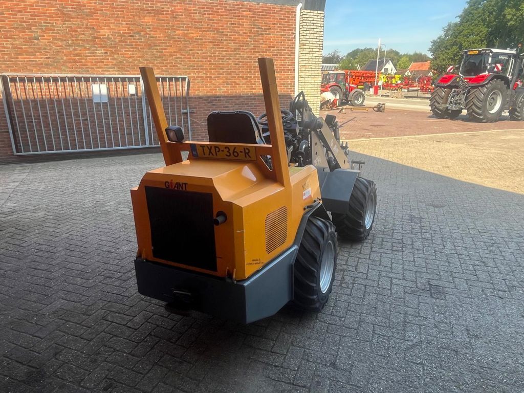 Giant V361