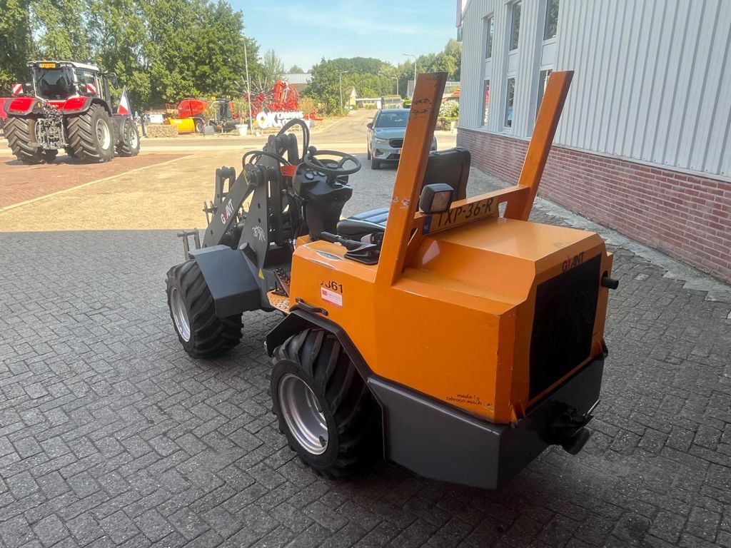 Giant V361