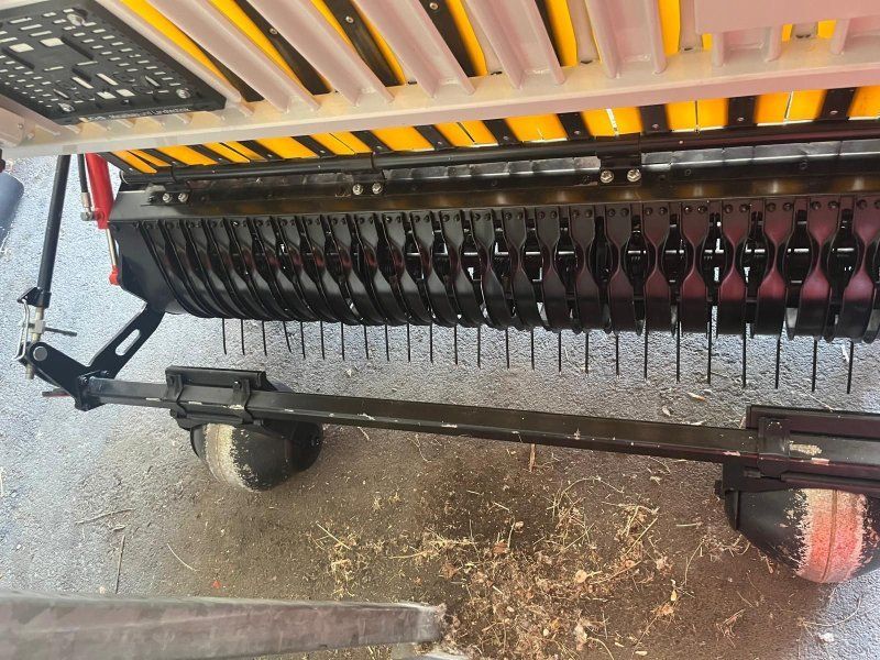 Reform Vielschnitt VSLW