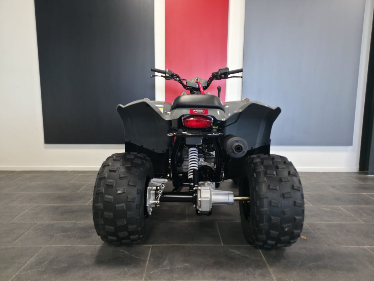 Polaris Pheonix 200 (2022) - Kinderquad