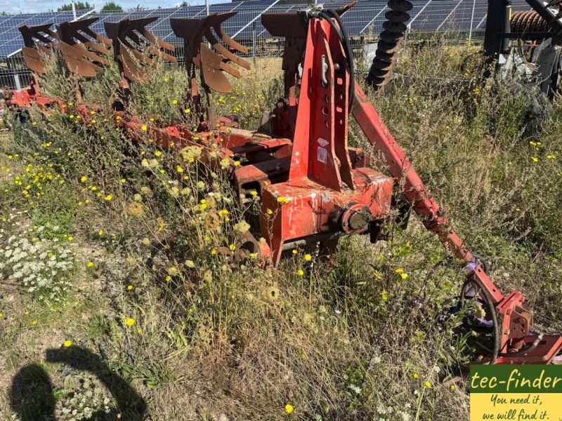 Kuhn 5 Schar