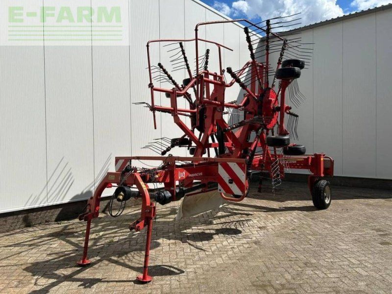 Lely hibiscus 725 master
