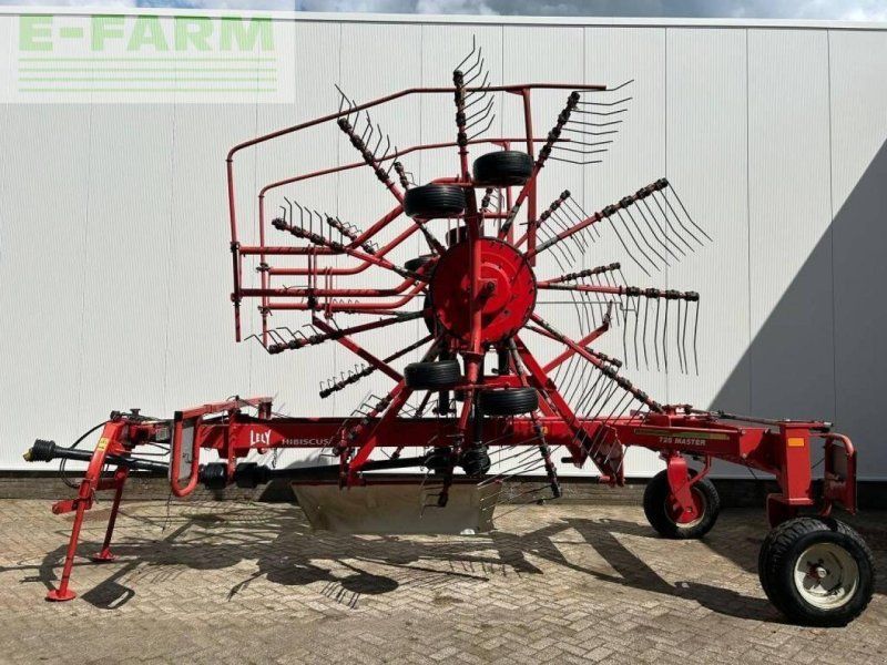 Lely hibiscus 725 master