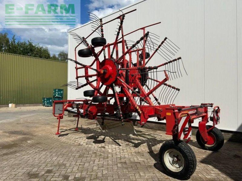 Lely hibiscus 725 master