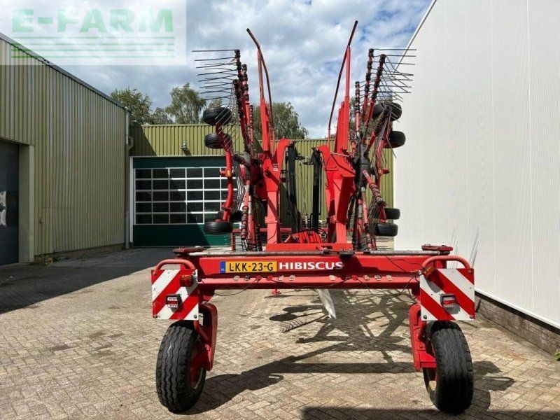 Lely hibiscus 725 master