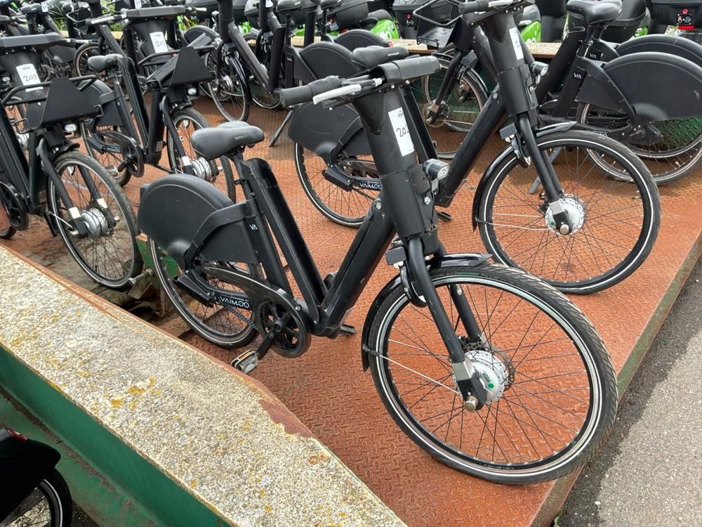 Vaimoo Electric Bike