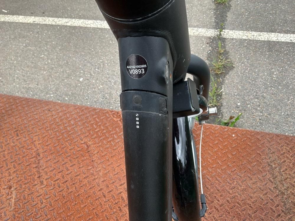 Vaimoo Electric Bike