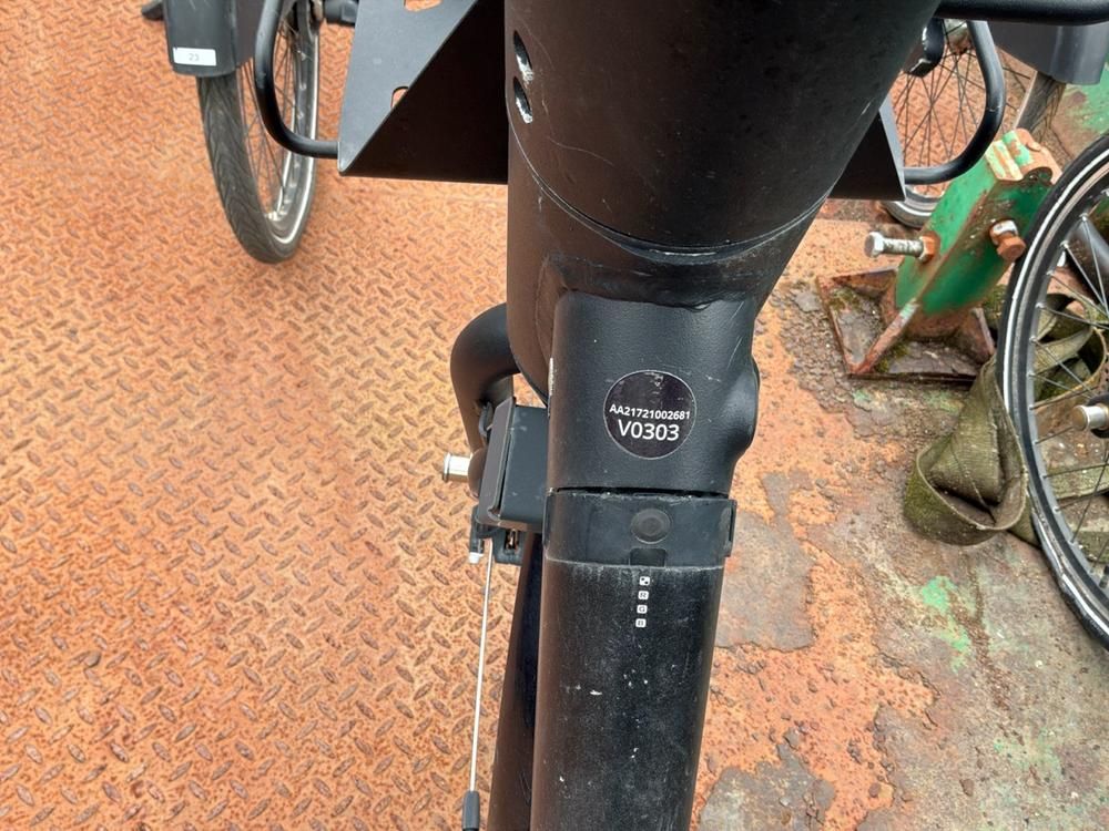 Vaimoo Electric Bike