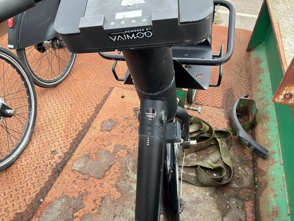 Vaimoo Electric Bike