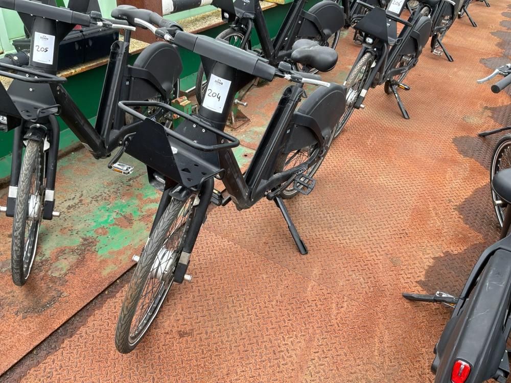 Vaimoo Electric Bike