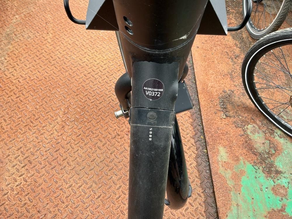 Vaimoo Electric Bike