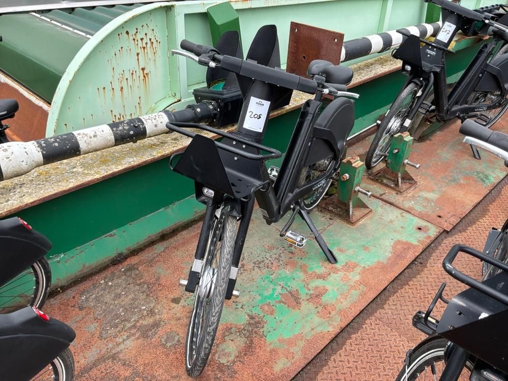 Vaimoo Electric Bike