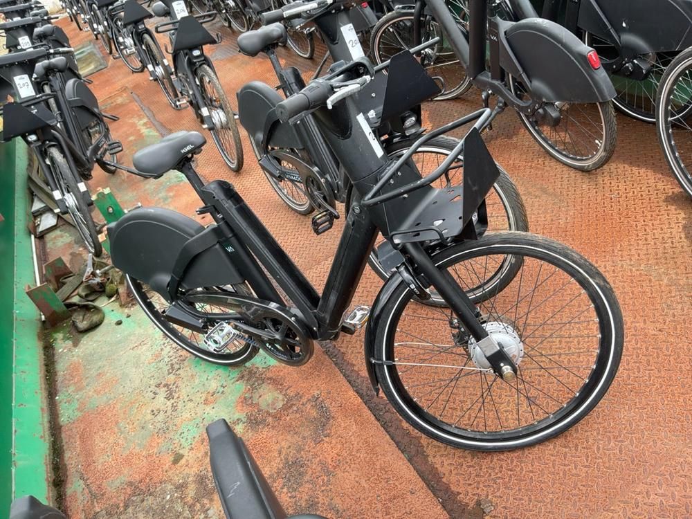 Vaimoo Electric Bike
