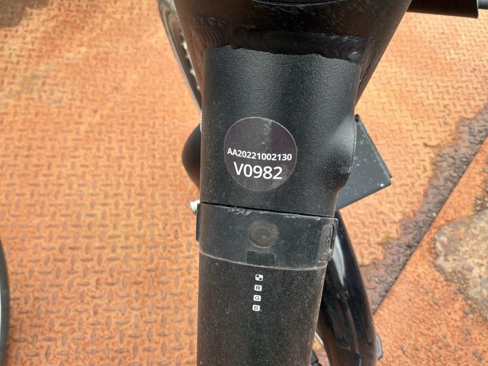 Vaimoo Electric Bike