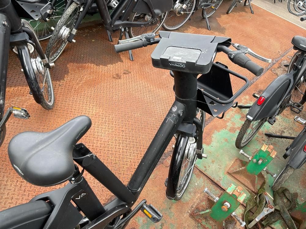 Vaimoo Electric Bike