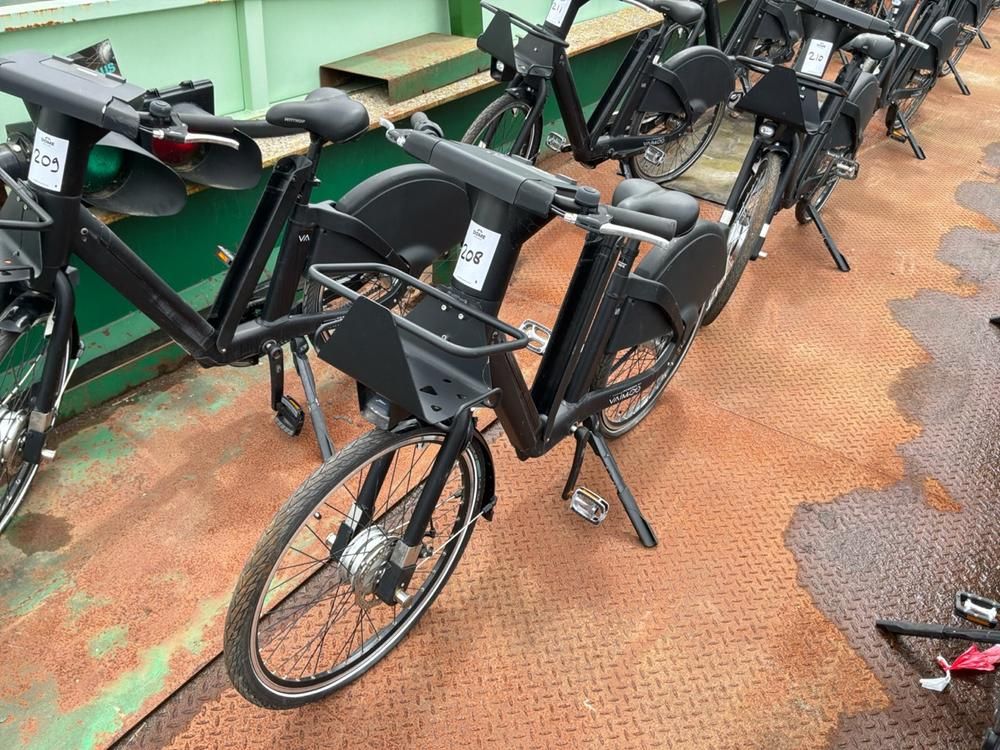 Vaimoo Electric Bike