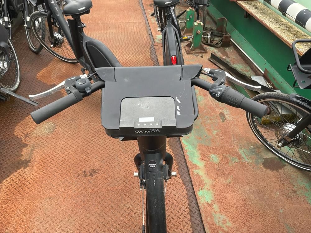 Vaimoo Electric Bike