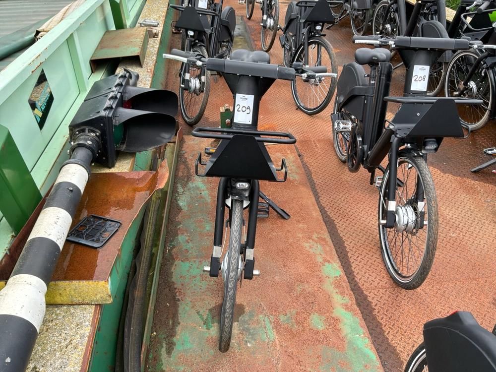 Vaimoo Electric Bike