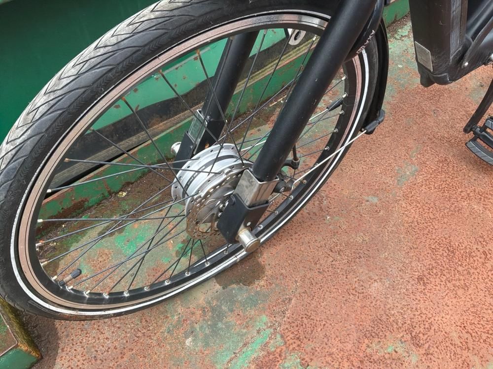 Vaimoo Electric Bike
