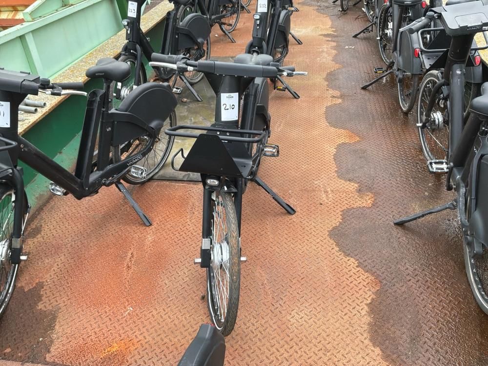 Vaimoo Electric Bike