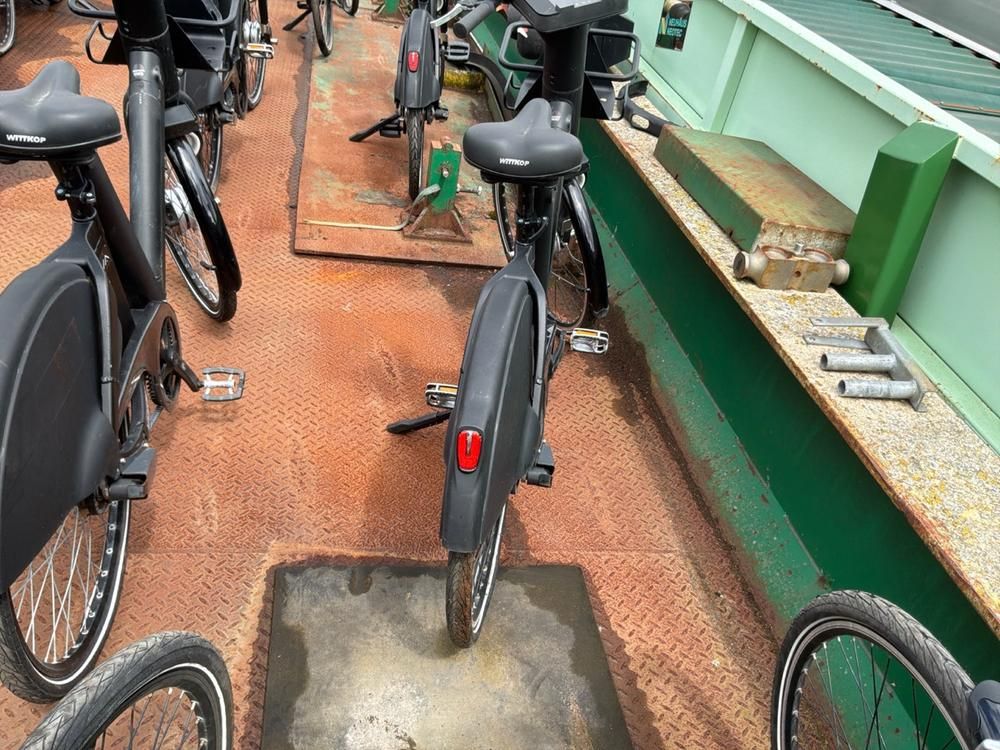 Vaimoo Electric Bike