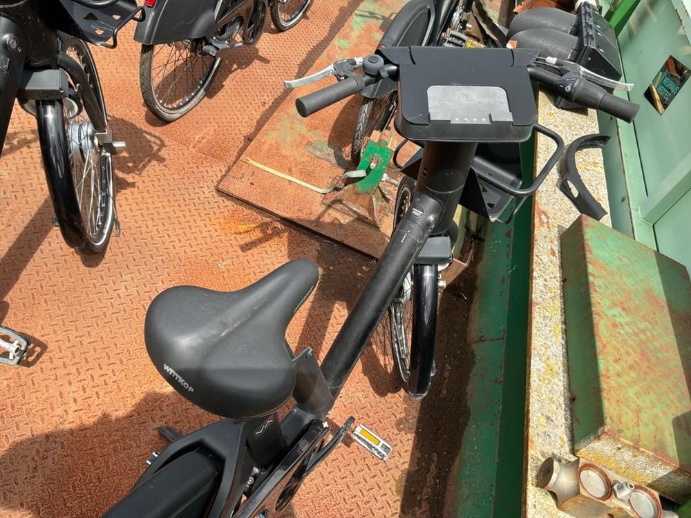 Vaimoo Electric Bike