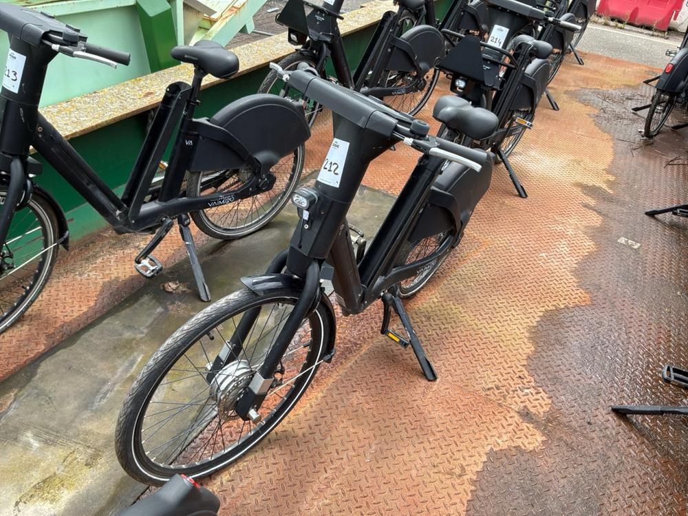 Vaimoo Electric Bike