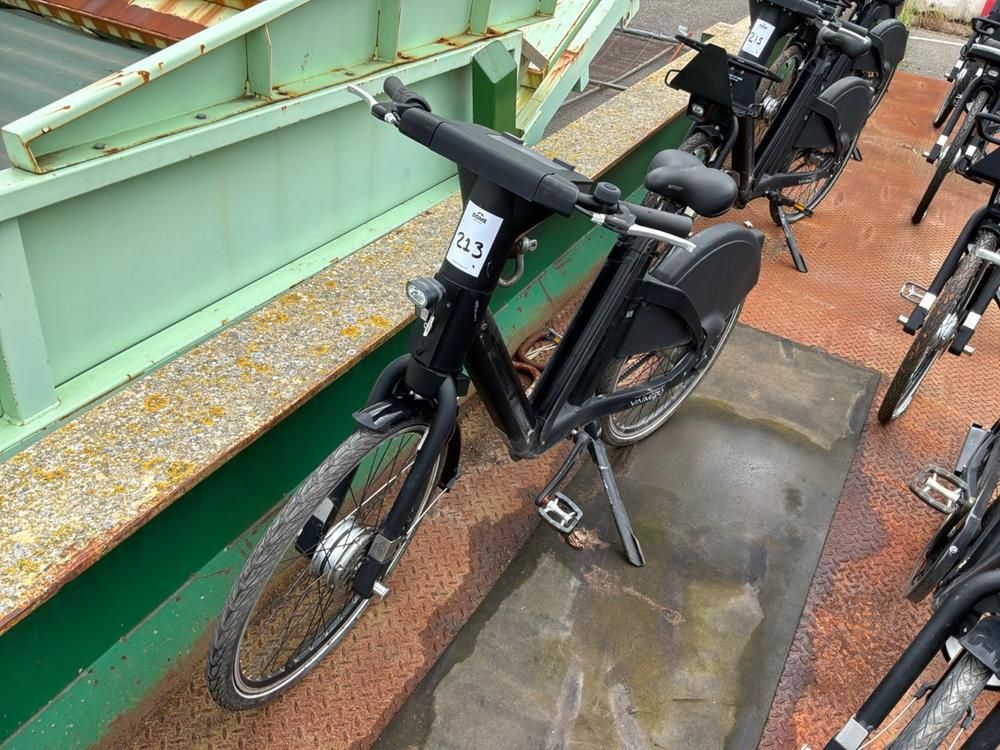 Vaimoo Electric Bike