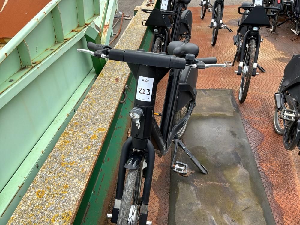 Vaimoo Electric Bike
