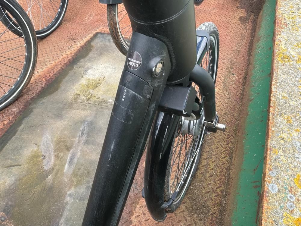 Vaimoo Electric Bike