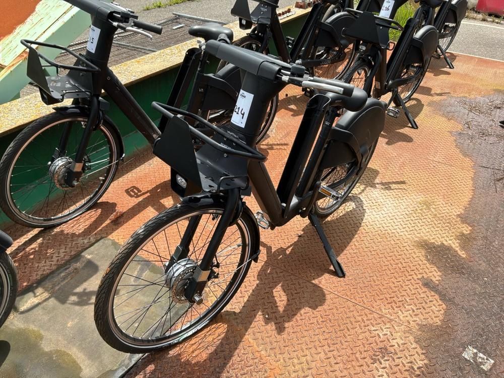 Vaimoo Electric Bike