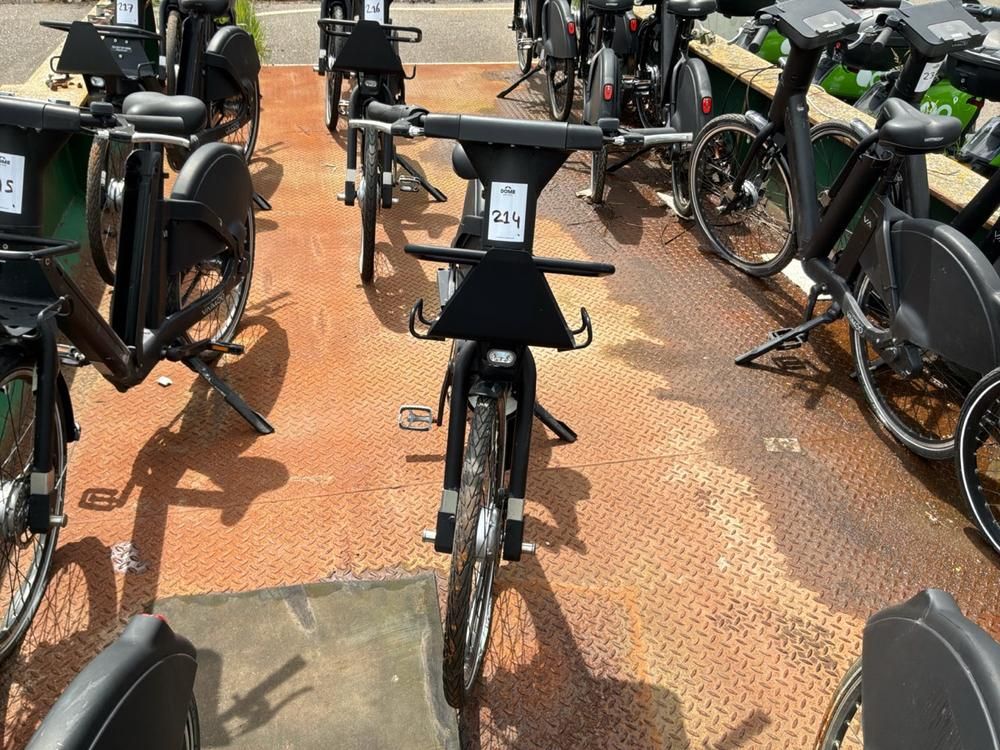 Vaimoo Electric Bike