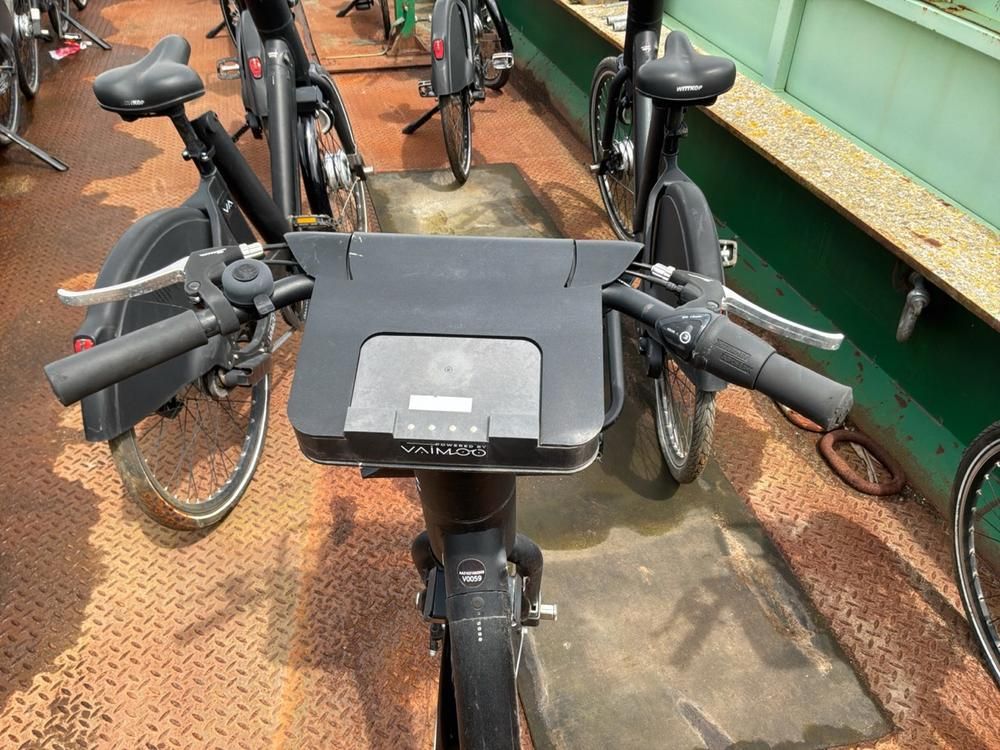 Vaimoo Electric Bike