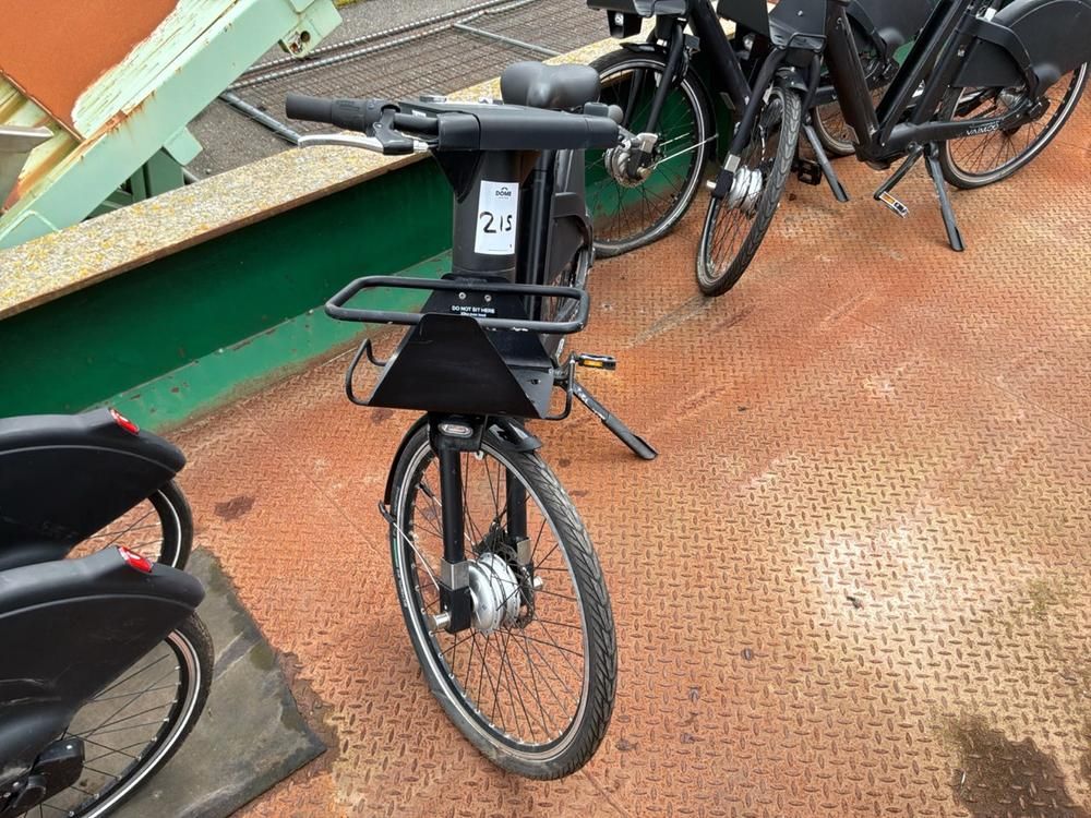 Vaimoo Electric Bike