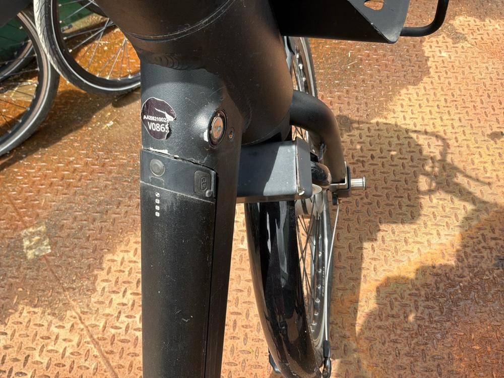 Vaimoo Electric Bike