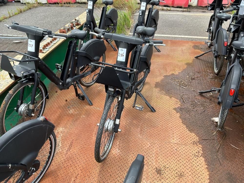 Vaimoo Electric Bike