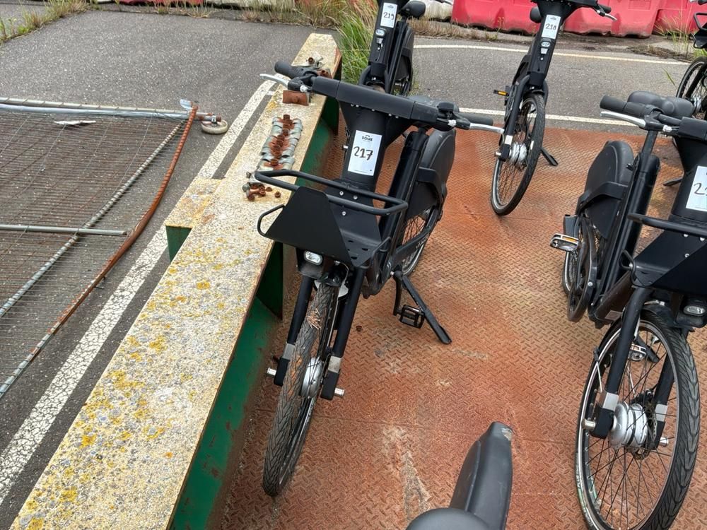 Vaimoo Electric Bike