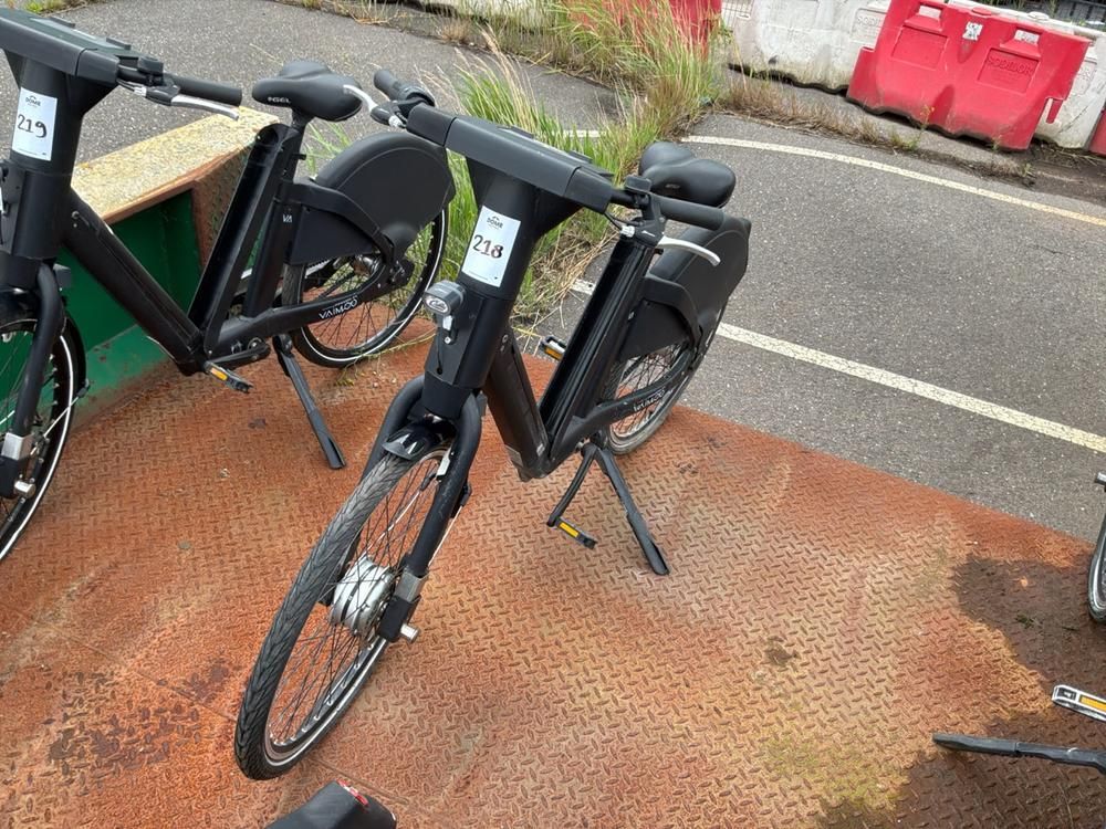 Vaimoo Electric Bike